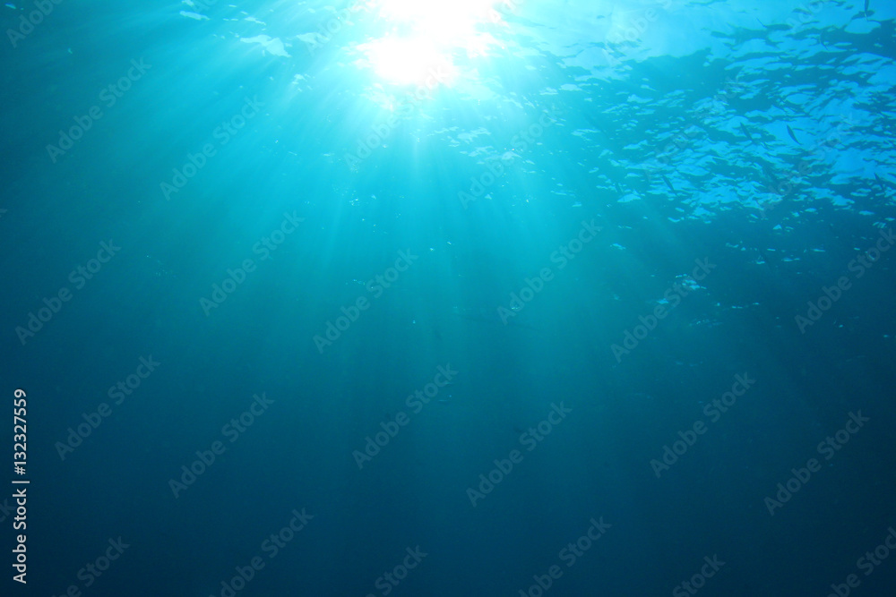 Underwater background Underwater background