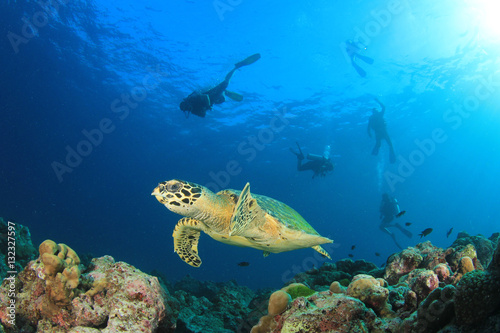 Sea Turtle and scuba divers © Richard Carey