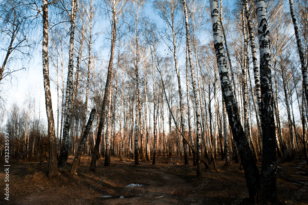 Sping background - river, lake, snow, melting, warming
