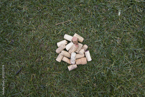 Wine Corks on the Grass