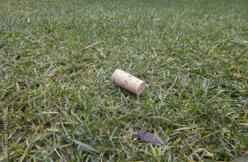 Wine Corks on the Grass