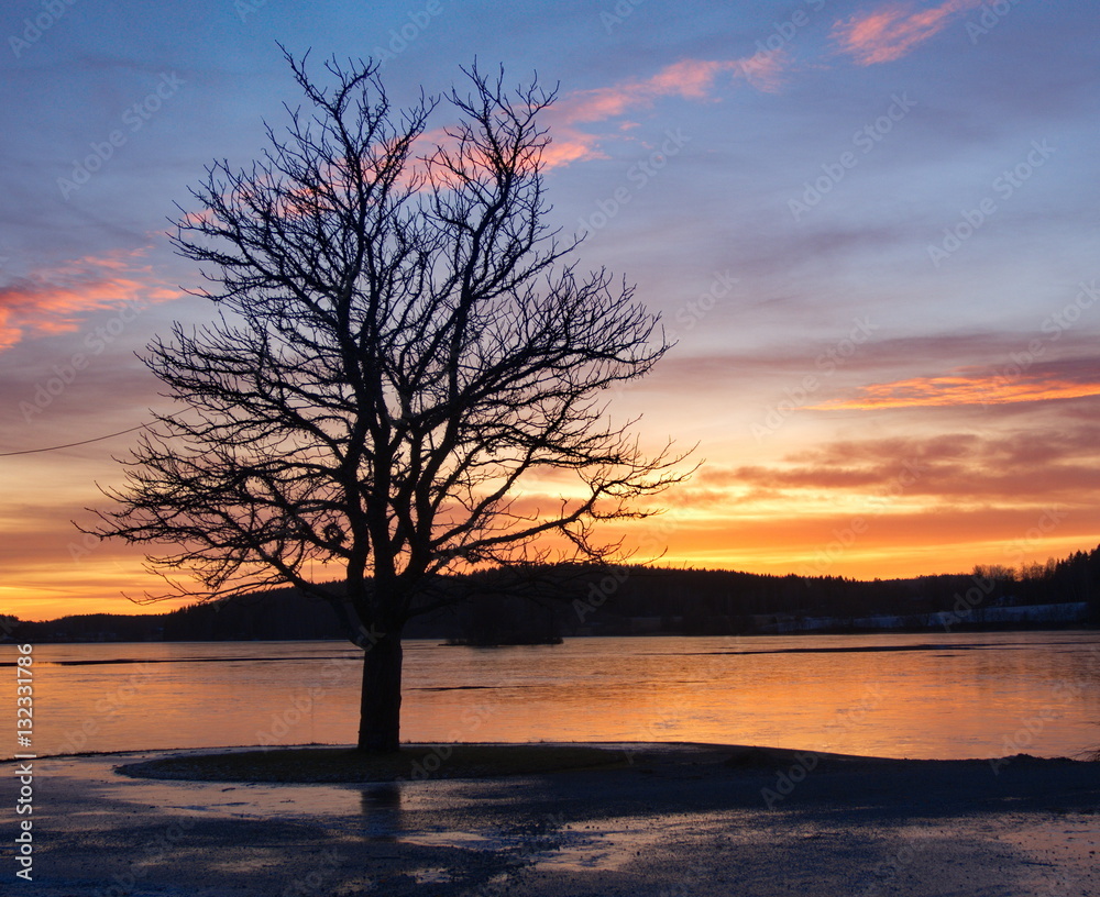 Sunset Tree at a lake with thin ice and a beautiful sky. Sunset Tree at a lake with thin ice and a beautiful sky.