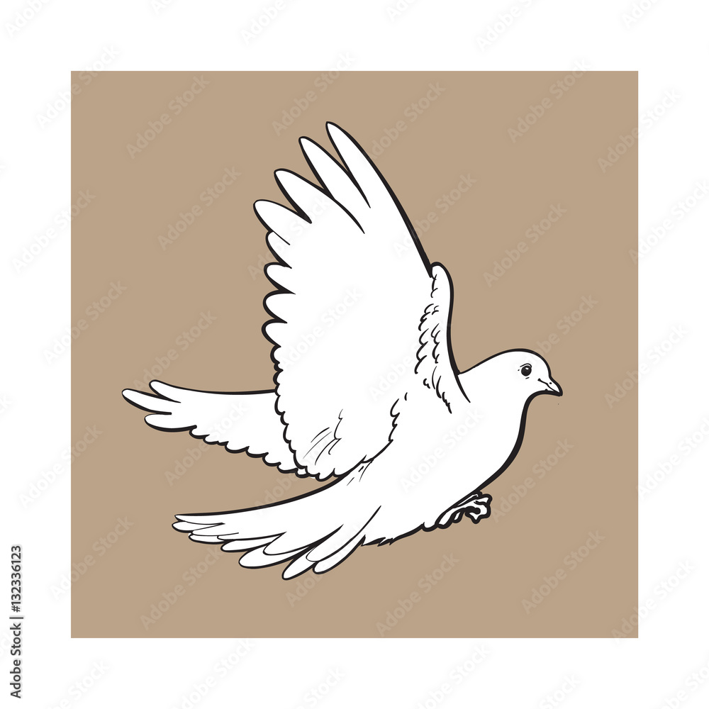 Free flying white dove, sketch style vector illustration isolated on