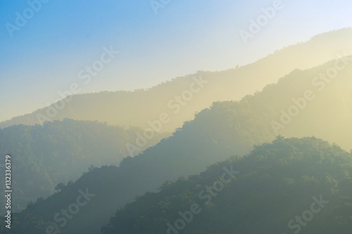 Forested mountain slope in low lying cloud in mist in a scenic landscape