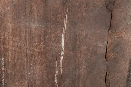Wood background