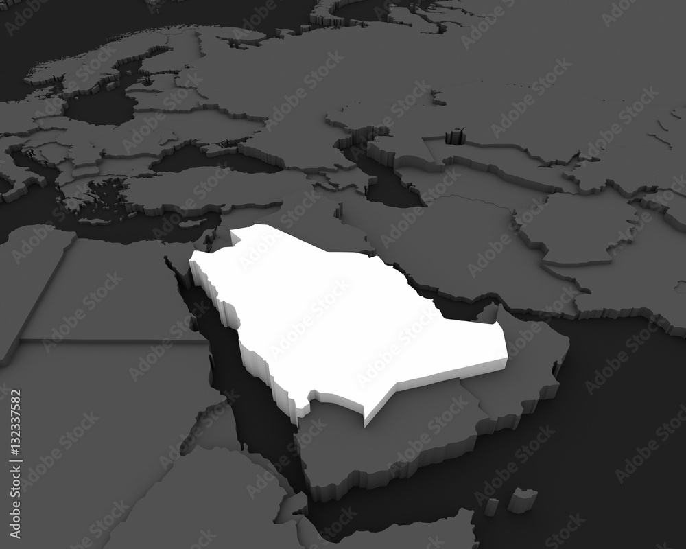 Obraz premium saudi arabia map 3D illustration