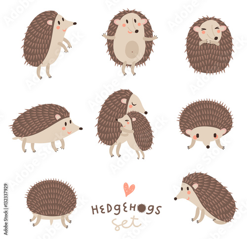 Vector set of cute hedgehogs.