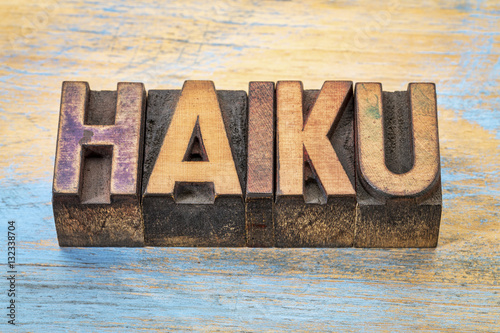 Tablou pe pânză haiku word in wood type