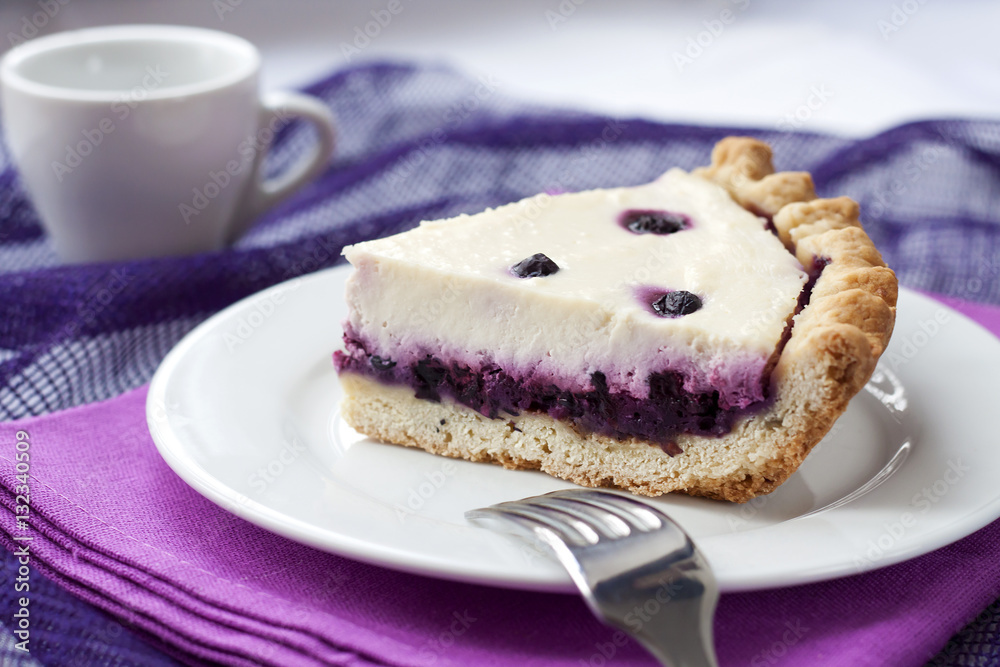 Piece of cheesecake with blueberries on a plate Piece of cheesecake with blueberries on a plate
