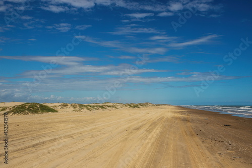 Tracks on the beach