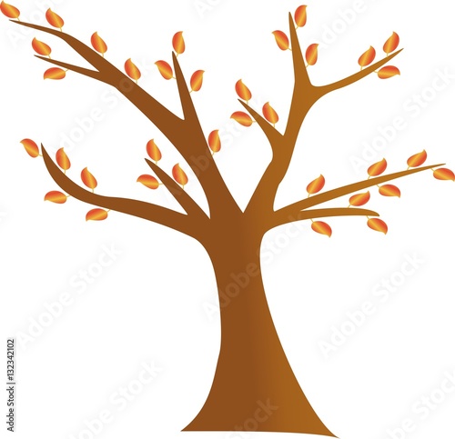 autumn tree