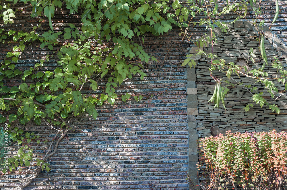 Изгородь из зеленых насаждений, камня и вьющихся растений Stock-Foto ...