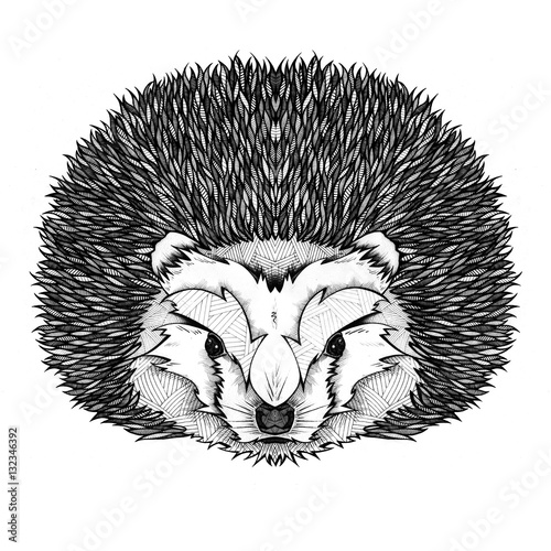 Hedgehog, illustration, black and white  (ID: 132346392)