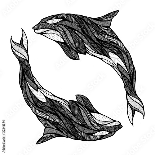 Two orcas, illustration, black and white  (ID: 132346394)