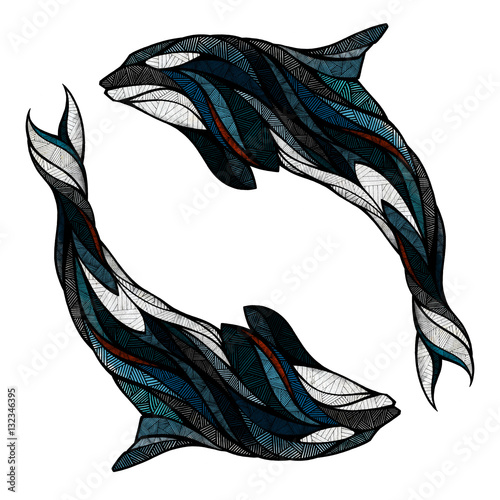Two orcas, illustration  (ID: 132346395)
