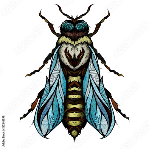 Bee, illustration  (ID: 132346398)