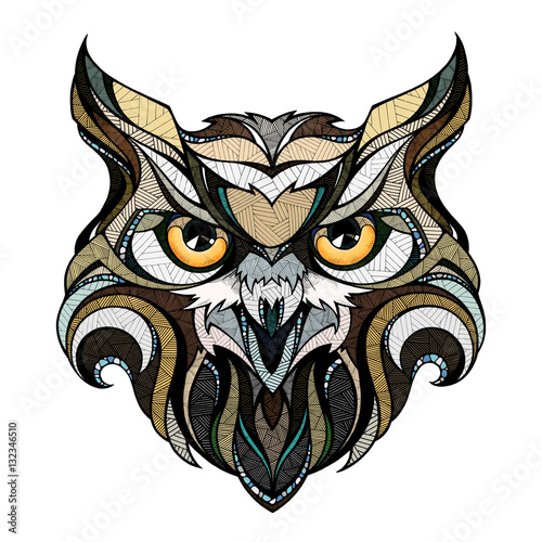Owl head, illustration  photo