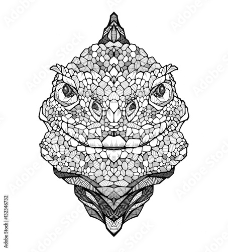 Lizard head, illustration, black and white  (ID: 132346732)