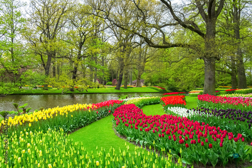 Beautiful spring flowers near pond in Keukenhof park in Netherlands (Holland) 