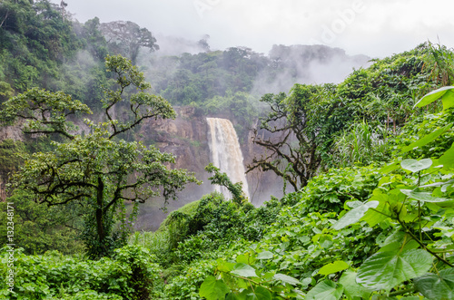 Beautiful hidden Ekom Waterfall deep in the tropical rain forest of Cameroon, Africa photo