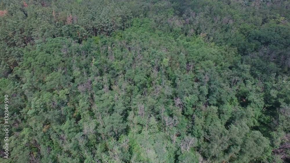 Flying over the forest park. aerial survey Flying over the forest park. aerial survey