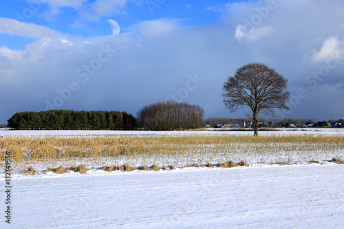 Krajobraz wiejski zimą, wioska, domy jednorodzinne.
