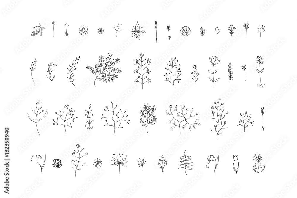 Hand Drawn vintage floral elements. Vector. Isolated.The set of hand-drawn vector decorative elements for your design. Leaves, branches, floral elements. Wedding, birthday, Valentine's day.