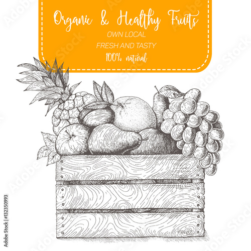 Fresh fruit in box. Natural food for farmers market. Hand drawn vector illustration.