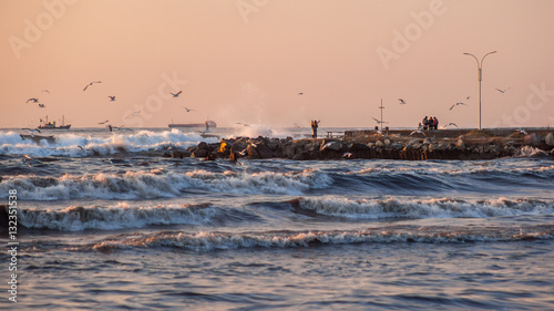 storm, gulls on the coast of the Black Sea, the river Rioni, Pot