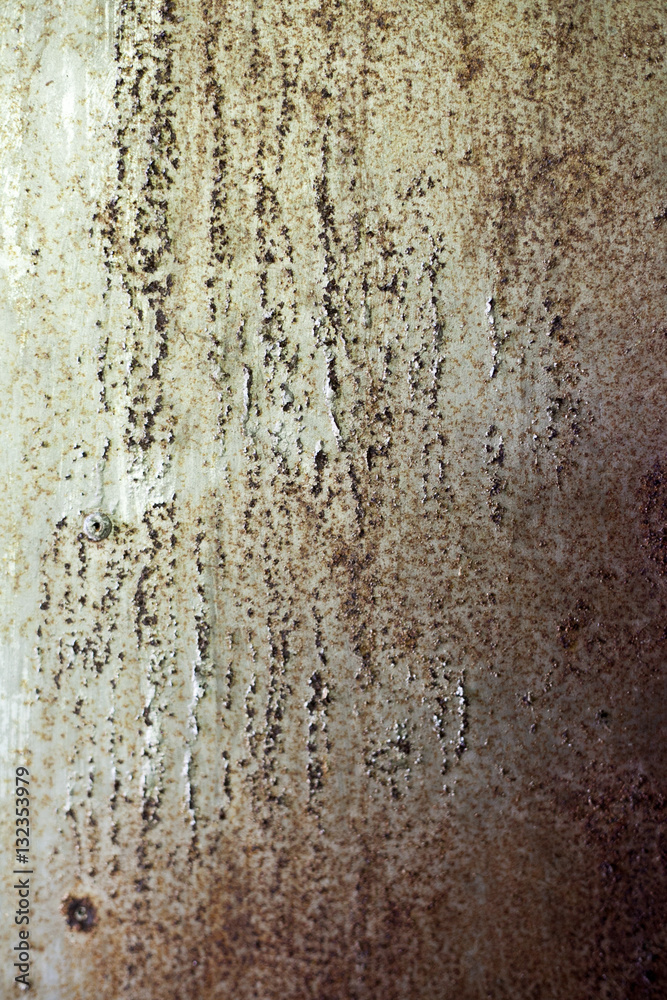 Fototapeta premium texture