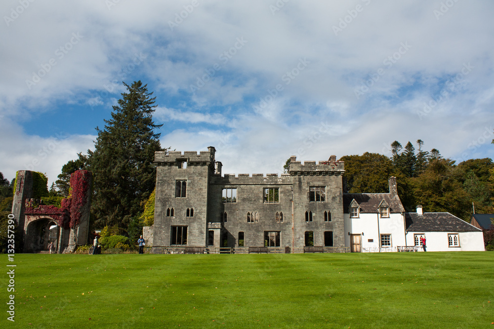 Fototapeta premium castle