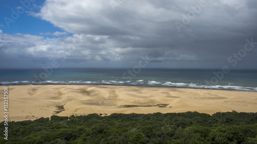 Fototapeta Naklejka Na Ścianę i Meble -  View of beach and ocean