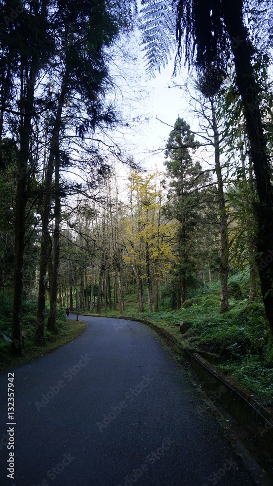 Obraz premium landscapes