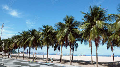 Copacabana palm trees, sidewalk and a sarong vendor