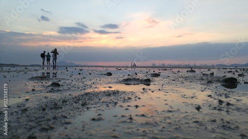 landscapes