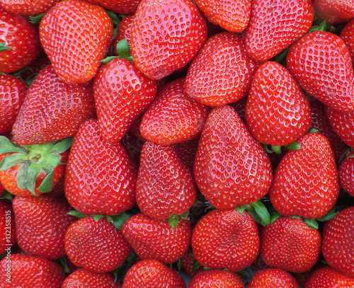 Heap of Vibrant Red Color Fresh Strawberries 