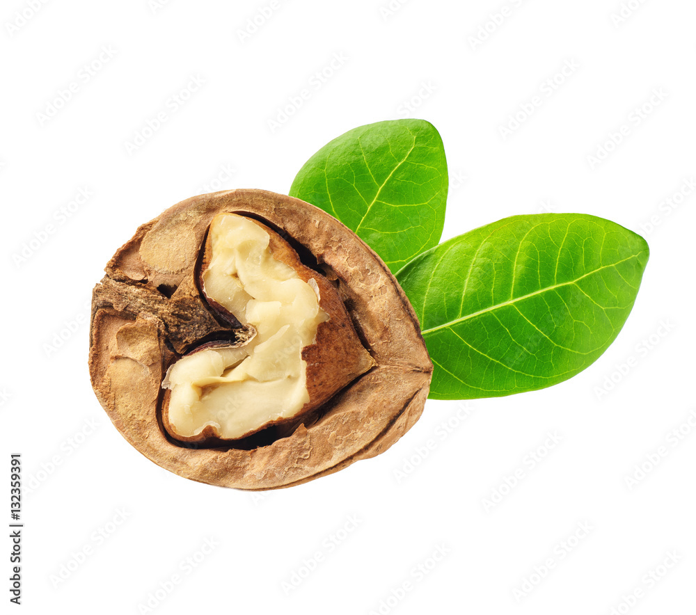 Single half of walnut , isolated on white background Single half of walnut , isolated on white background