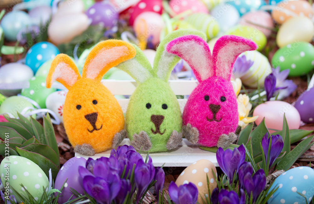 bunte Osterhasen Stock-Foto | Adobe Stock