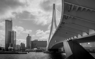 Fototapete Erasmusbrücke Erasmusbrücke Rotterdam moderne Skyline  © Michel