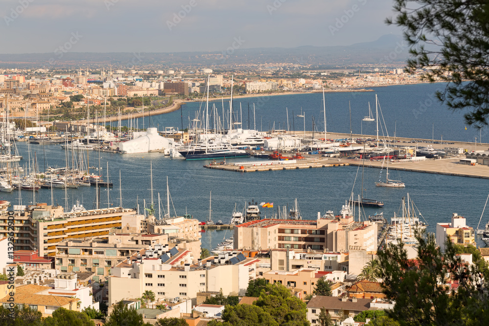 View of the port with yachts