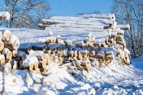 Logs of wood buried in snow in the woods