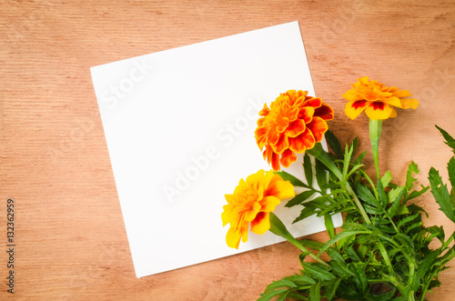 Empty Paper Sheet With Flowers on Rustic Wooden Background.