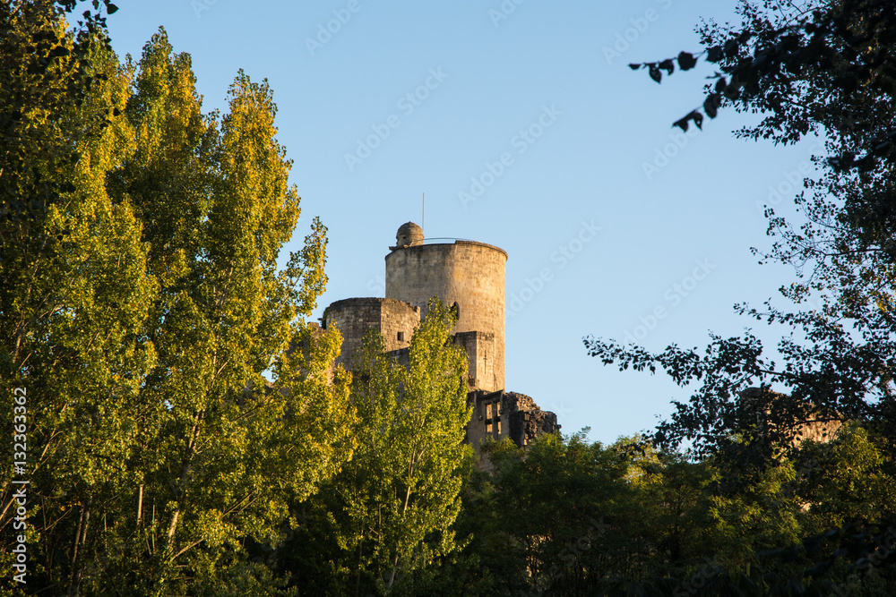 Rauzan Castle Ruins in France 