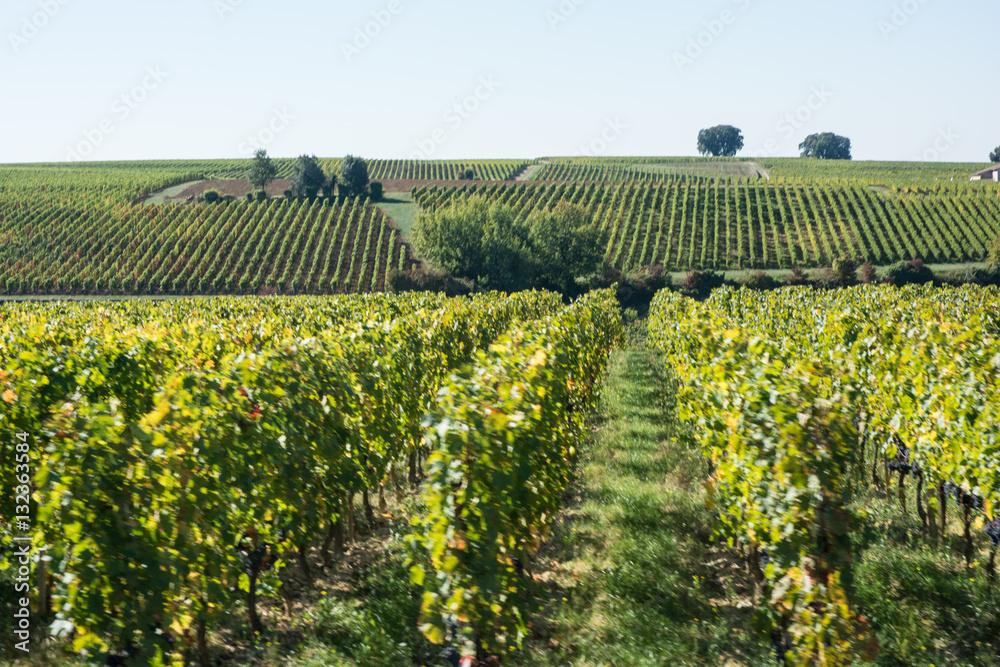 The wine growing region and town of St Emilion France