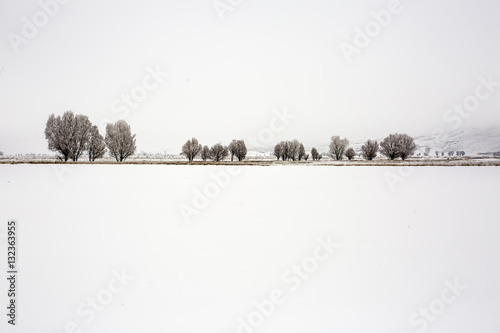 Kar Manzarası photo