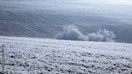 Rime on a field