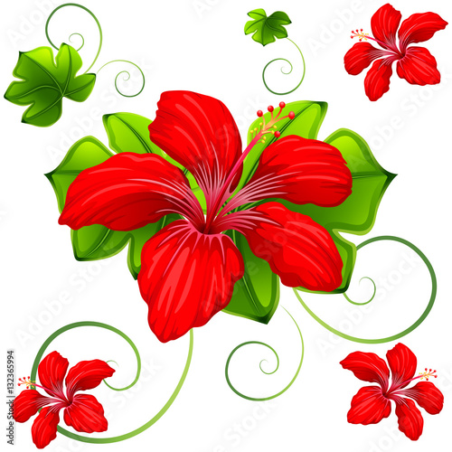 Seamless background design with red hibicus and green leaves photo