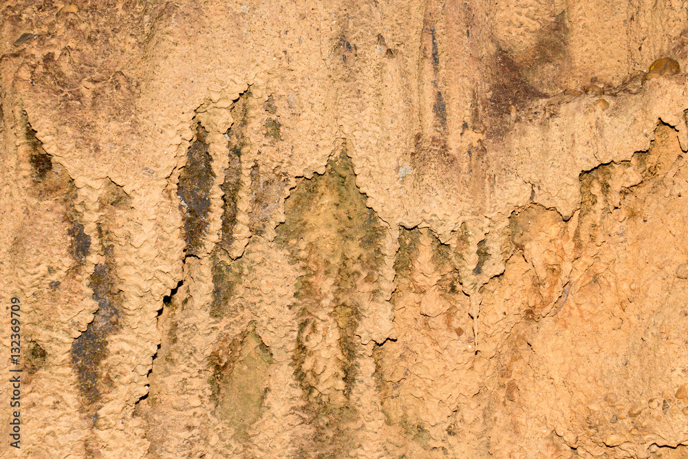 Fototapeta premium rock texture background from natural or park