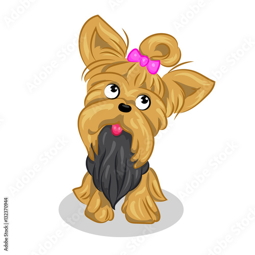 cartoon cute vector yorkshire terrier at the white background