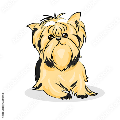 cartoon cute vector yorkshire terrier at the white background